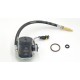 RSP.HD (Y24)